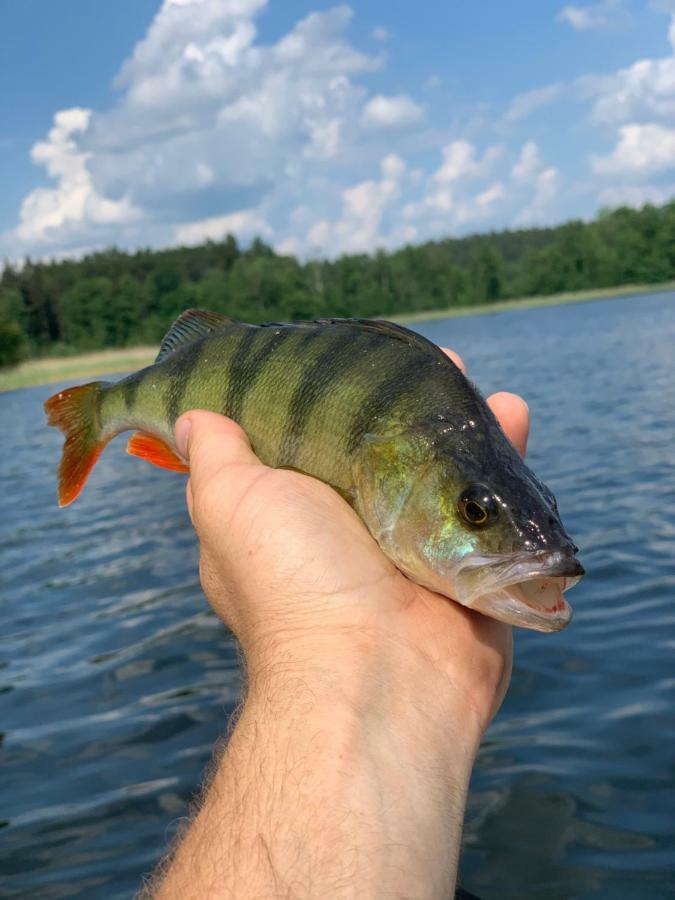 Swiety Spokoj Laka I Woda Pozezdrze Luaran gambar